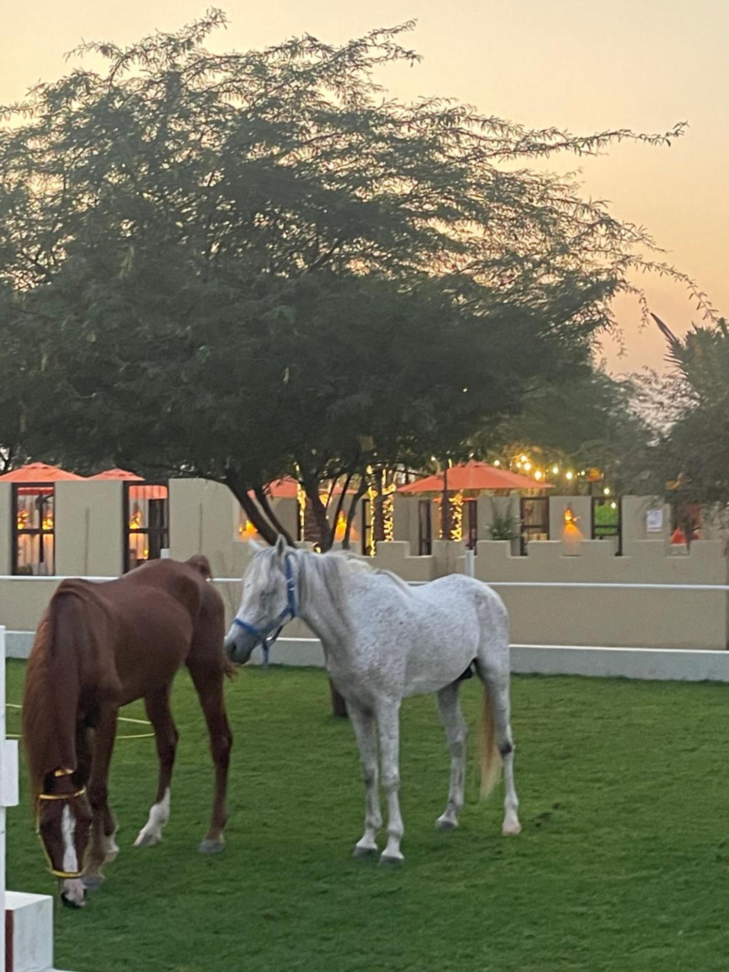 Al Bait Resort With Private Swimming Pools -Hrs Stables Al Hamraniyah Εξωτερικό φωτογραφία